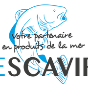 (c) Escavir.be